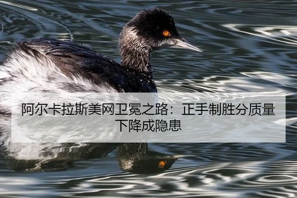 a-er-ka-la-si-mei-wang-wei-mian-zhi-lu-zheng-shou-zhi-sheng-fen-zhi-liang-xia-jiang-cheng-yin-huan-3-666.jpg